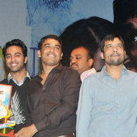 Oh my friend triple platinum disc function - Pictures | Picture 117556